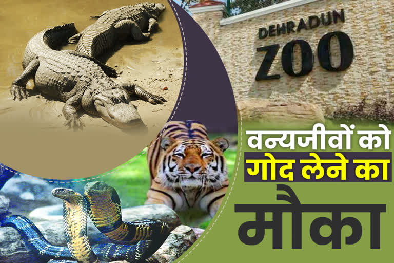 dehradun-zoo