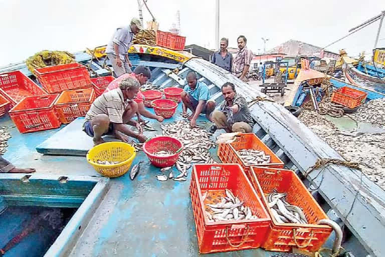 fishing industry is in profits due to heavy rains