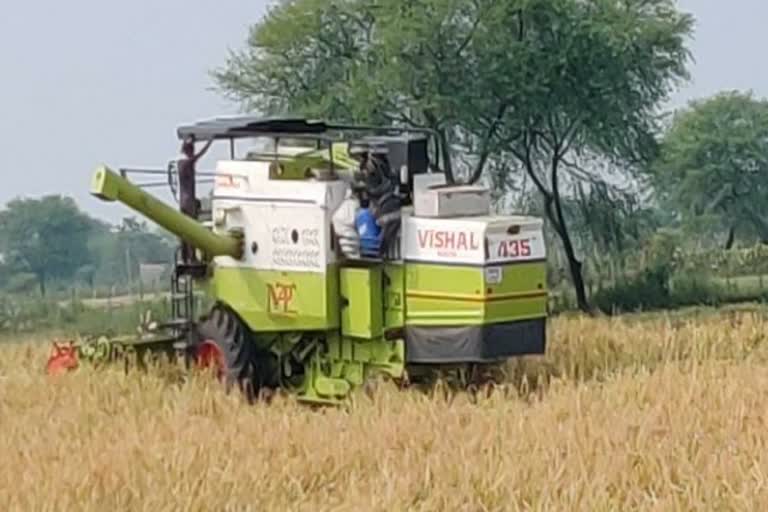 Bemetra police have not registered the record of harvesters