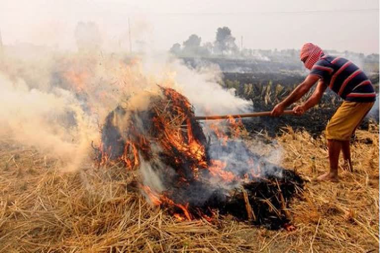 ଦିଲ୍ଲୀର ପ୍ରଦୂଷଣରେ ନଡା ପୋଡିବା ଅଂଶ  40%କୁ ବୃଦ୍ଧି