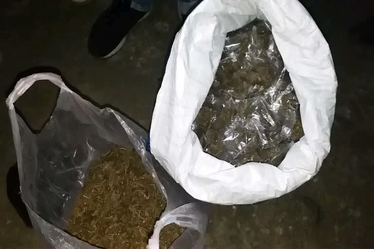 hemp recovered in giridih