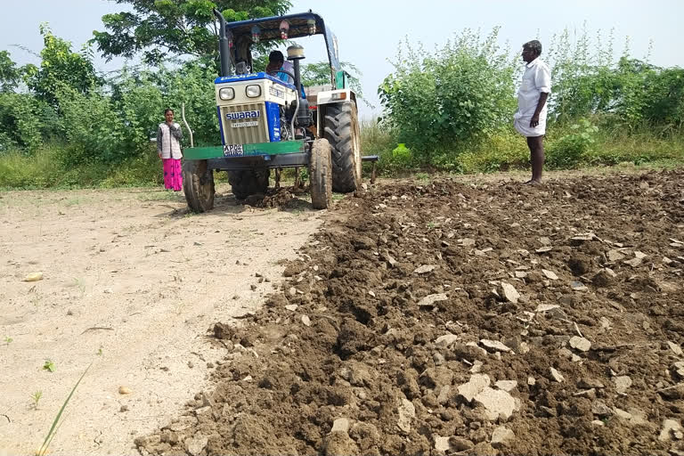 non - germination of pulses.