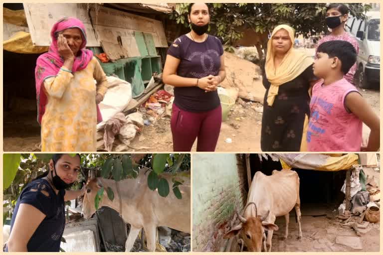 In Bijwasan village, Komal Rana helped by donating a cow to a poor elderly woman