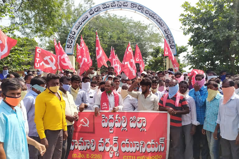 hamalies protest at peddapalli collectorate