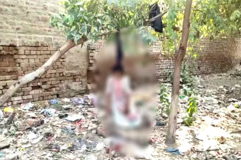 ladies dead body found hanging on tree in jhajjar