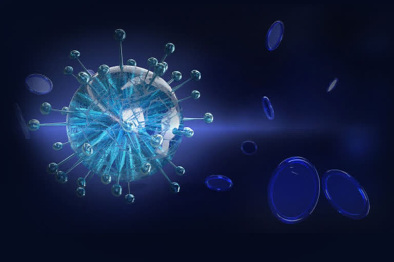 coronavirus in France