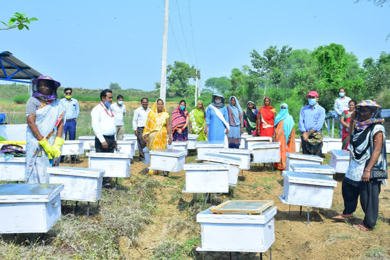 Beekeeping in kawardha