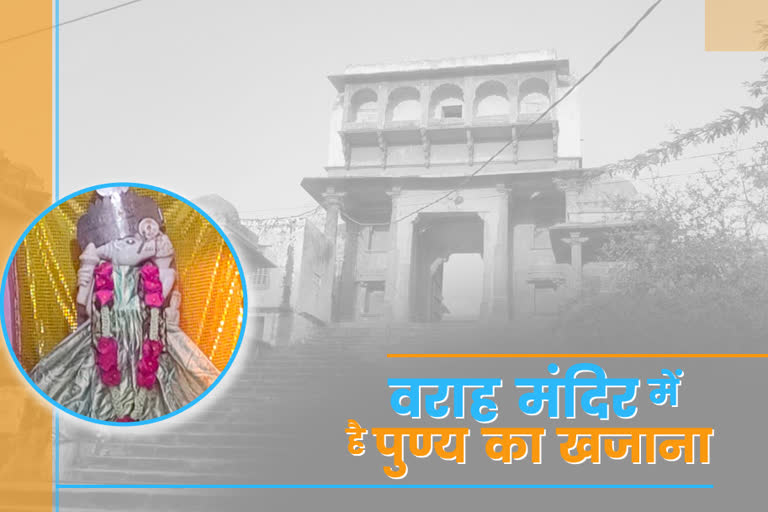 पुण्य का खजाना  Treasure of virtue  ajmer news  rajasthan news  अजमेर न्यूज  राजस्थान न्यूज  तीर्थ नगरी पुष्कर  Pilgrim city Pushkar  टेम्पल सिटी  Temple city  temple in rajasthan  भगवान वराह का मंदिर