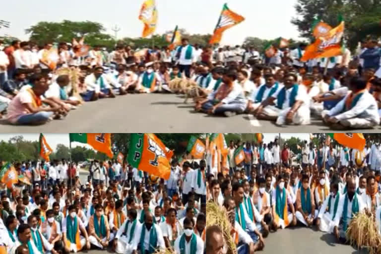 BJP dharna demands for support price for Sannarakam Vadlu