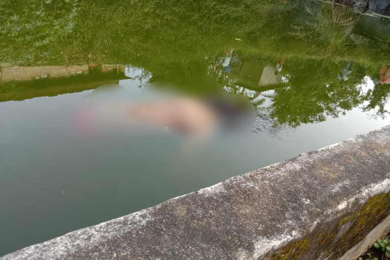 സ്‌ത്രീയുടെ ജഡം  woman's body was found in a rock pool  ശാന്തൻപാറ  ഇടുക്കി  idukki