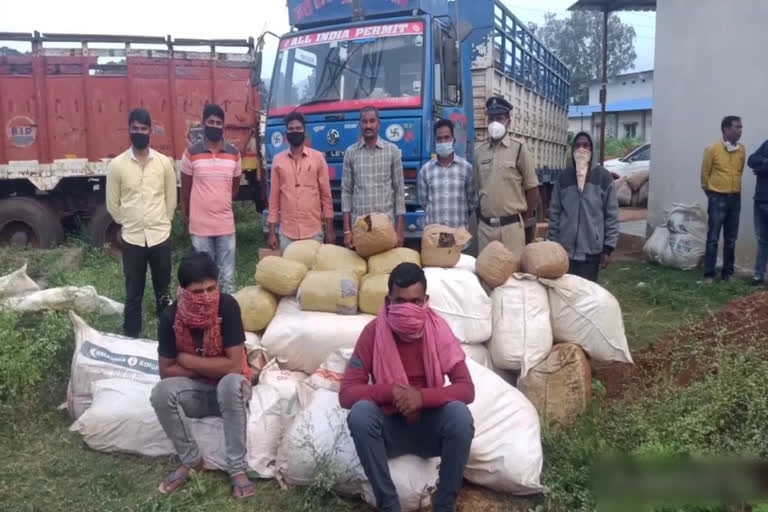 huge ganja load caught