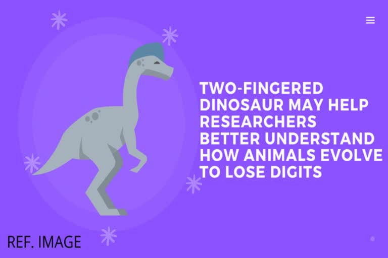 Dinosaurs , research