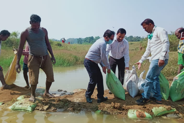 sack dam construction