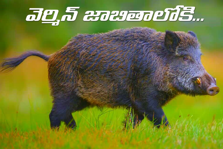 Exercise on wild boar control in telangana