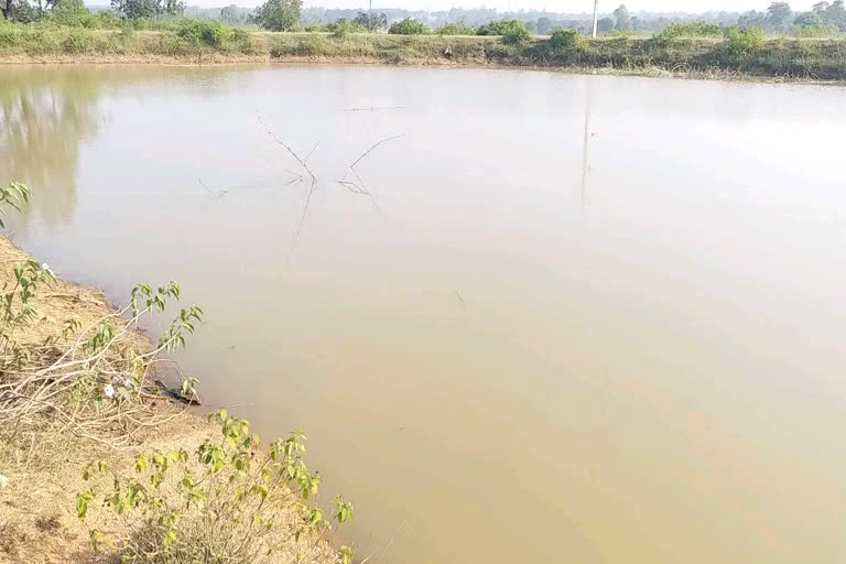 fisheries-and-mango-gardening-in-acre-of-land-in-giridih