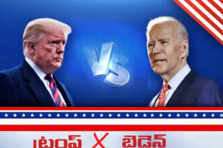 trump- biden