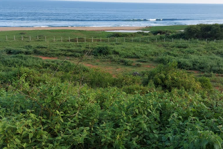 tourist department survey at 9 acres land at Visakhapatnam-Bhimili Beach Road