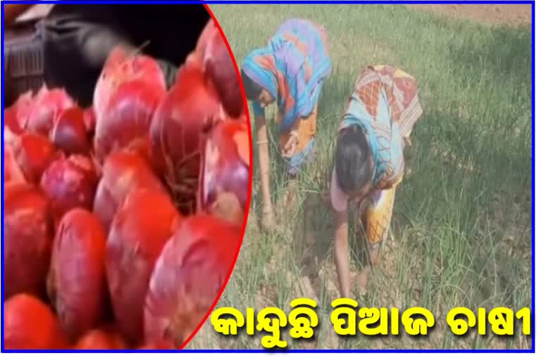 angul farmer tensed for buying onions in high price