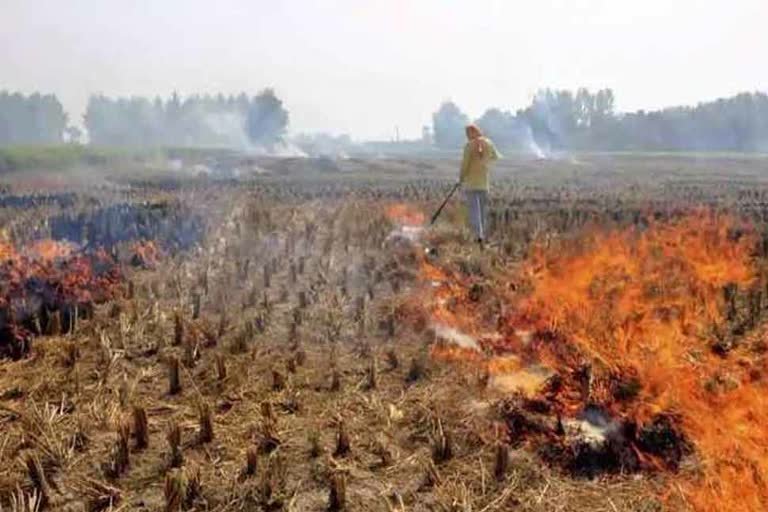 haryana stubble management techniques