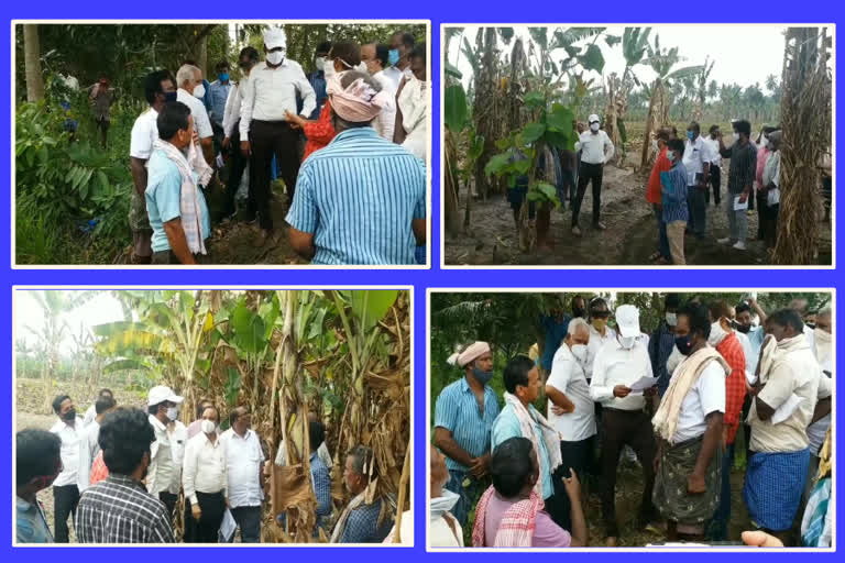 jc visit damaged crop fileds at ravulapalem