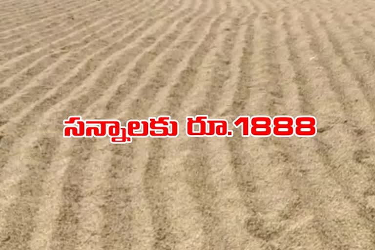 Thin type of paddy purchases with rs.1888 in grain purcheses centers