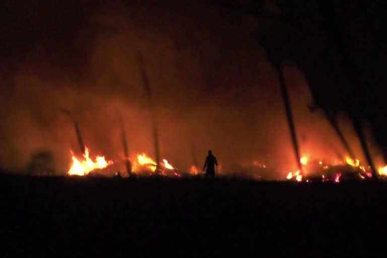 Farmers are burning stubble in Rohtak at night