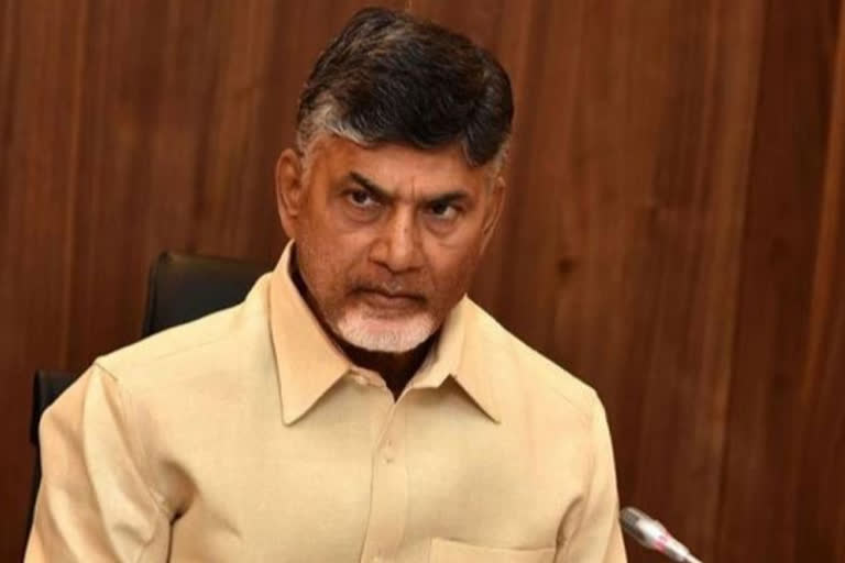 tdp chief chandrababu