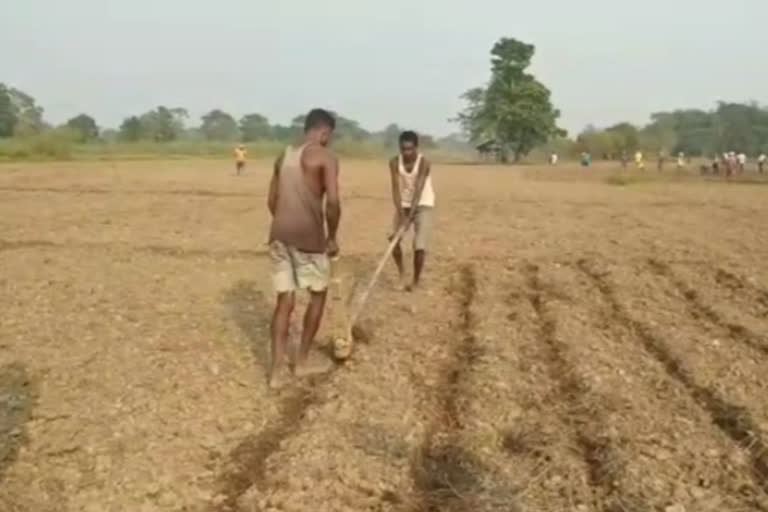 Self dependent movement at Amguri of Sivsagar