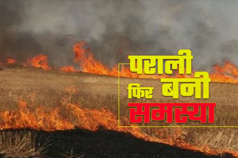 stubble burning cases increase in kurukshetra in this year