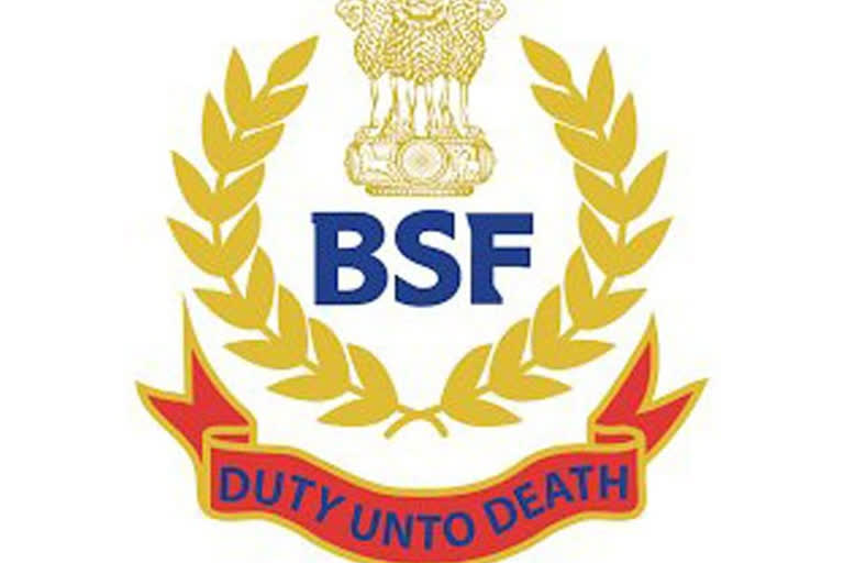 J-K: BSF unearths tunnel-like structure along International Border  BSF  tunnel  International Border  RS Pura sector of Jammu  അന്താരാഷ്ട്ര അതിര്‍ത്തിയില്‍ ബിഎസ്എഫ് തുരങ്കം കണ്ടെത്തി  ബിഎസ്എഫ്  തുരങ്കം  ആർ‌എസ് പുര സെക്ടര്‍