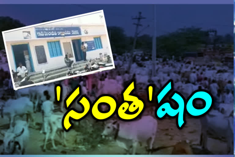 weekly market at devarakadra in mahabubnagar district