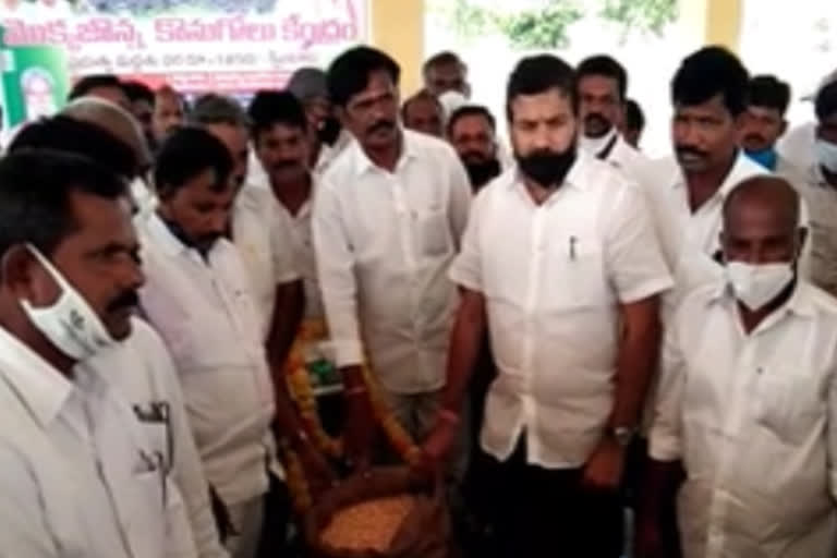 mla harshvardhan opened corn purchasing center in nagar kurnool district