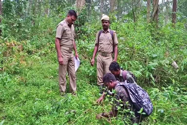 உதகையில் வனவிலங்குகள் கணக்கெடுப்புப் பணி தொடக்கம்