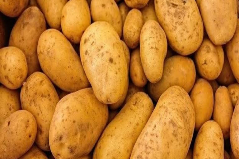 Potato farmers angry with govt