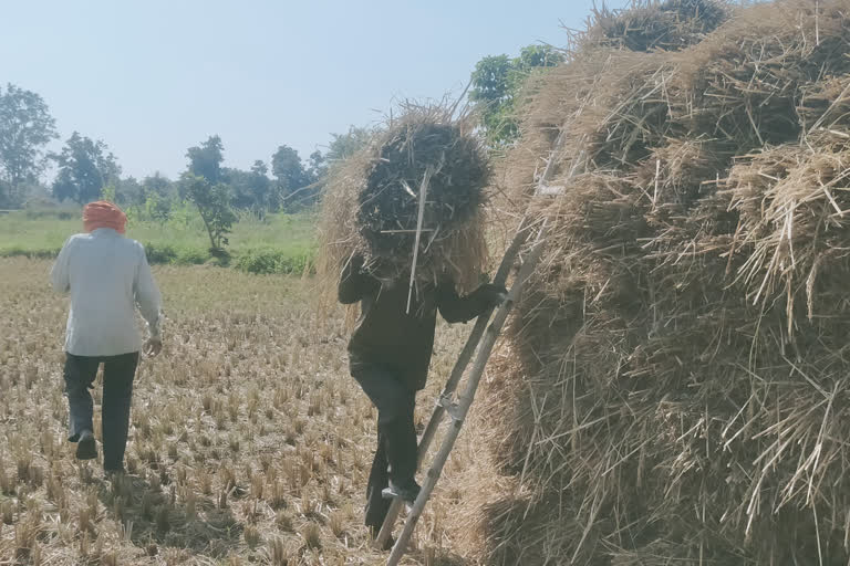 foodgrains shopping center  is closed in gondia