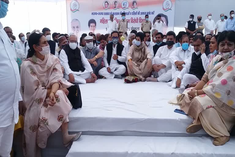 haryana congress leader kumari selja said daily incidents are an example of bjp misrule in haryana