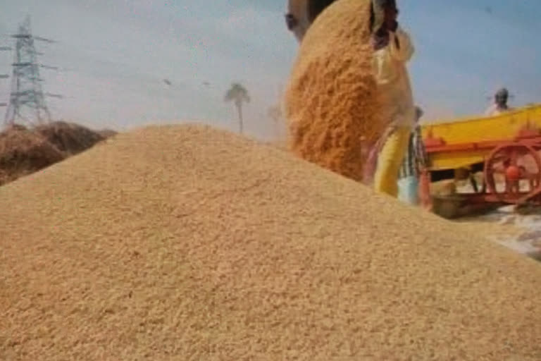 paddy-purchase in lucknow