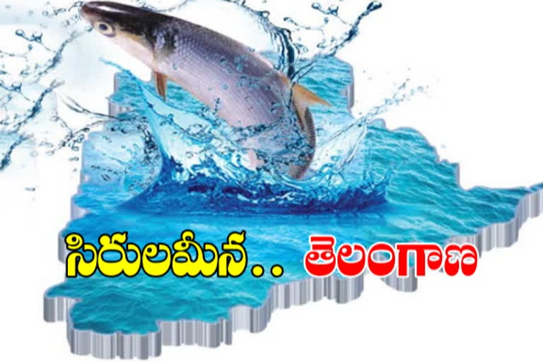 Increased income from fish and shrimp farming in telangana
