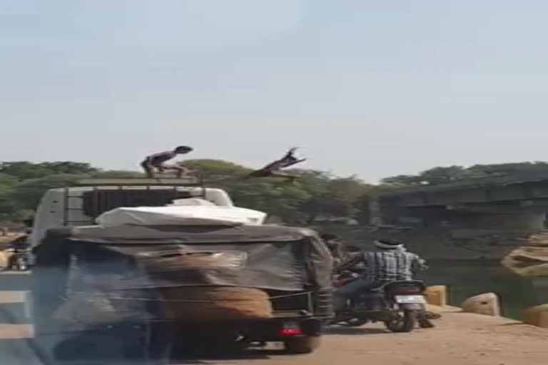 Dangerous stunt of children on top of bus