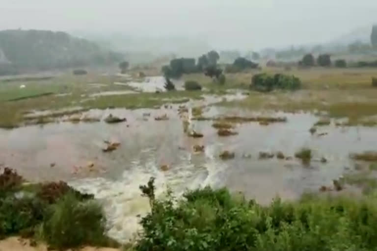 damage of  Pond embankment