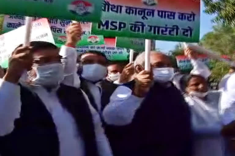 haryana congress march against agricultural laws outside the haryana assembly