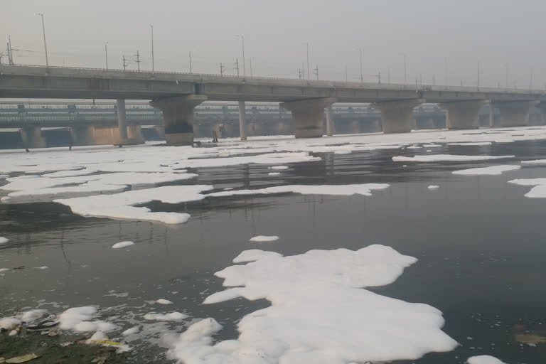 poisonous toxic foam floating on yamuna river at kalindi kunj in delhi