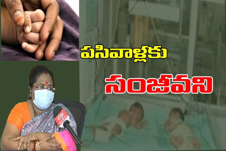 పసిబిడ్డలకు కల్పతరువులు ఎస్​ఎన్​సీయూ కేంద్రాలు