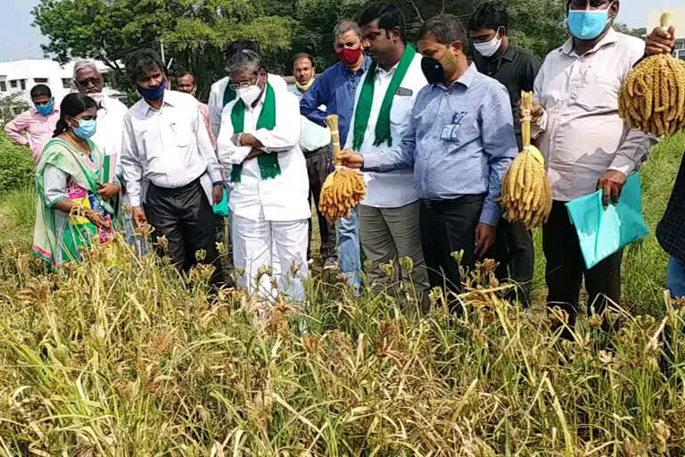 'రైతు సంక్షేమం కోసం ప్రభుత్వం పలు కార్యక్రమాలు'