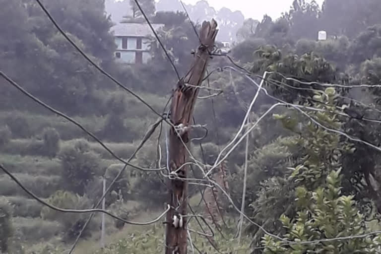 Wooden poles will be replaced in karsog