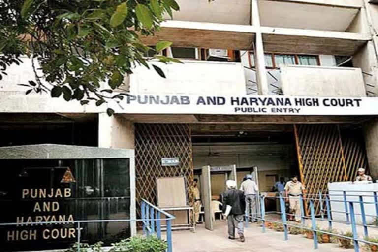 Punjab-Haryana High Court (file photo)