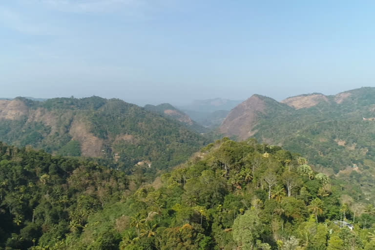 ഇടുക്കിയിലെ മരം മുറിക്കല്‍ പ്രതിസന്ധിക്ക് ശാശ്വത പരിഹാരം  ഇടുക്കിയിലെ മരം മുറിക്കല്‍ പ്രതിസന്ധി  മരം മുറിക്കല്‍ പ്രതിസന്ധി  മരങ്ങൾ മുറിക്കുന്നതിന് സര്‍ക്കാര്‍ അനുമതി  permission to cut down trees in idukki  government gave permission to cut down trees  crisis of cut down trees