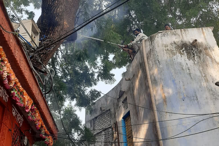 Kota news, Karni Mata temple, Fire in Neem tree