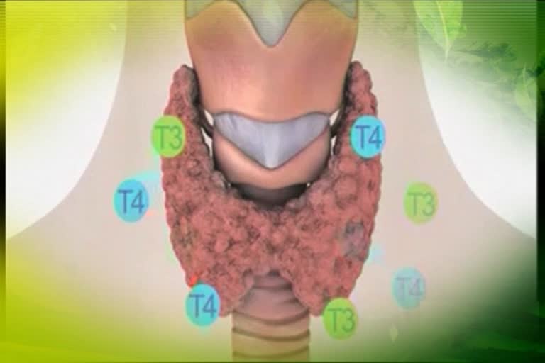 Sukhibhava special story on Thyroid treatment