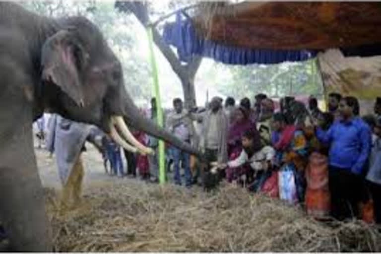 Bateshwar animal fair  Bateshwar  Agra fair  Covid-19 guidelines  Atal Bihari Vajpayee  ബടേശ്വർ മൃഗമേള  ബടേശ്വർ  ആഗ്ര മേള  കൊവിഡ് നിയന്ത്രണം  അടൽ ബിഹാരി വാജ്‌പേയി